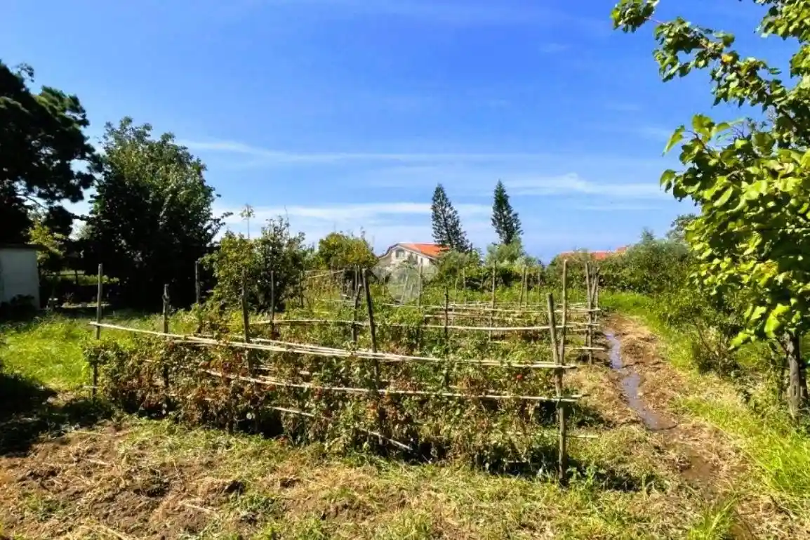 Villa unifamiliare Contrada Sant'Antonio, Scarcelli, Fuscaldo - foto 5