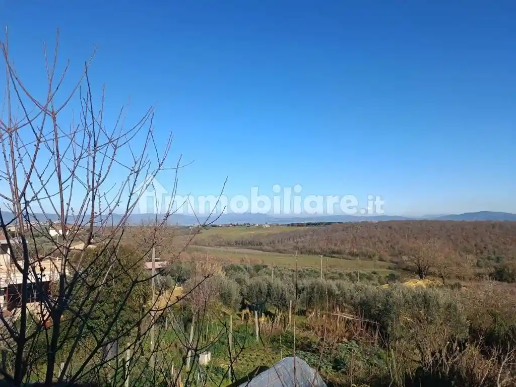 Terratetto plurifamiliare via Vecchia, Badia, Castiglione del Lago - foto 5
