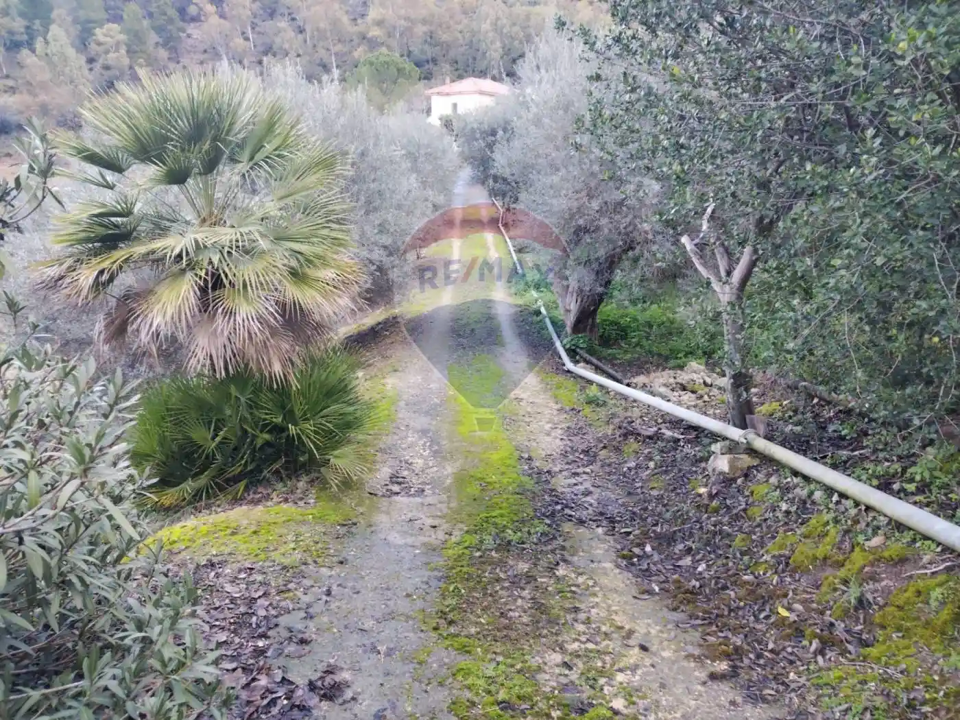 Rustico C.da saie, Saie, Mineo - foto 2