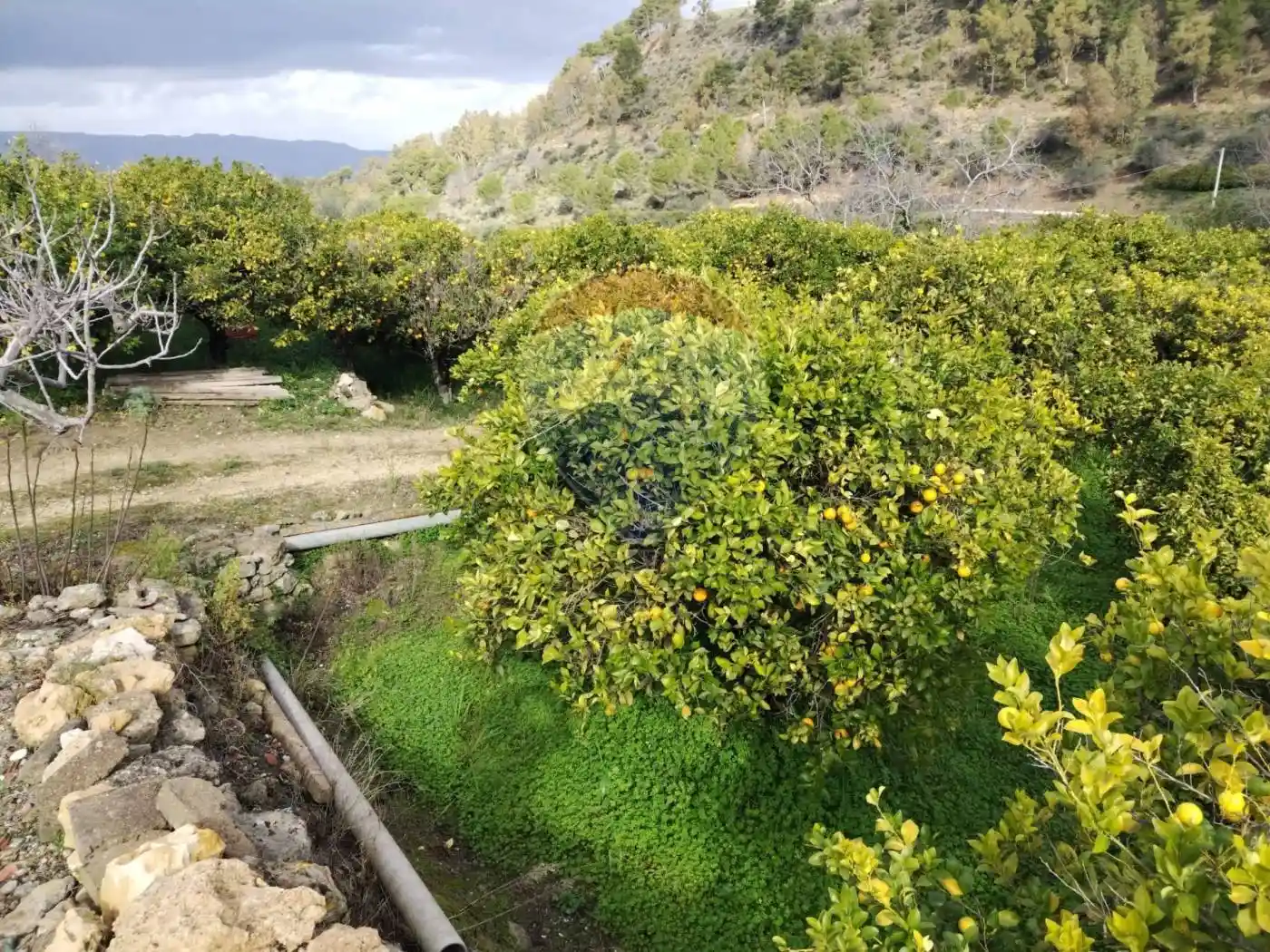 Rustico C.da saie, Saie, Mineo - foto 4