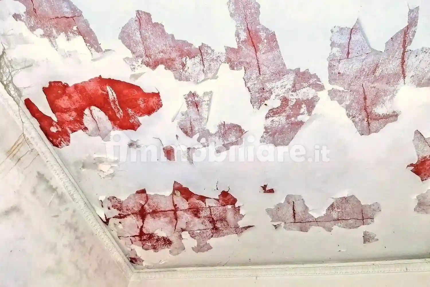 Palazzo - Stabile - foto 4