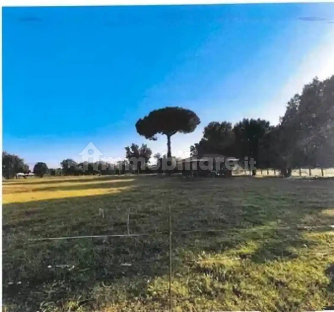 Casale via Torre del Giglio, Acciarella, Latina - foto 2