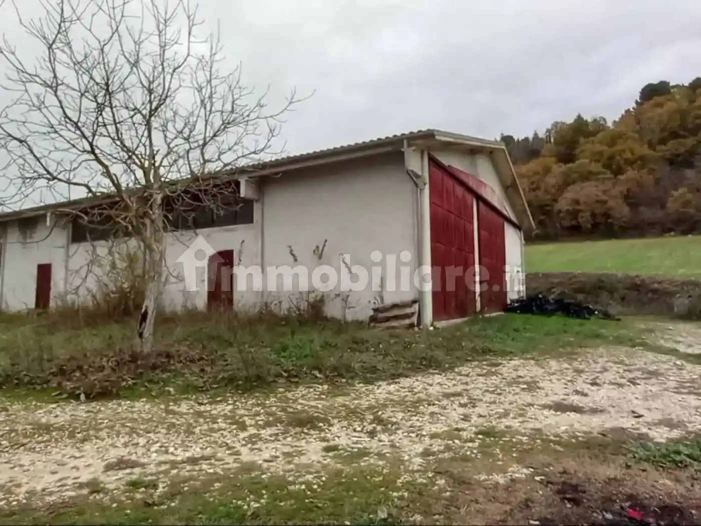 Rustico - Casale in vendita a Rocca Sinibalda