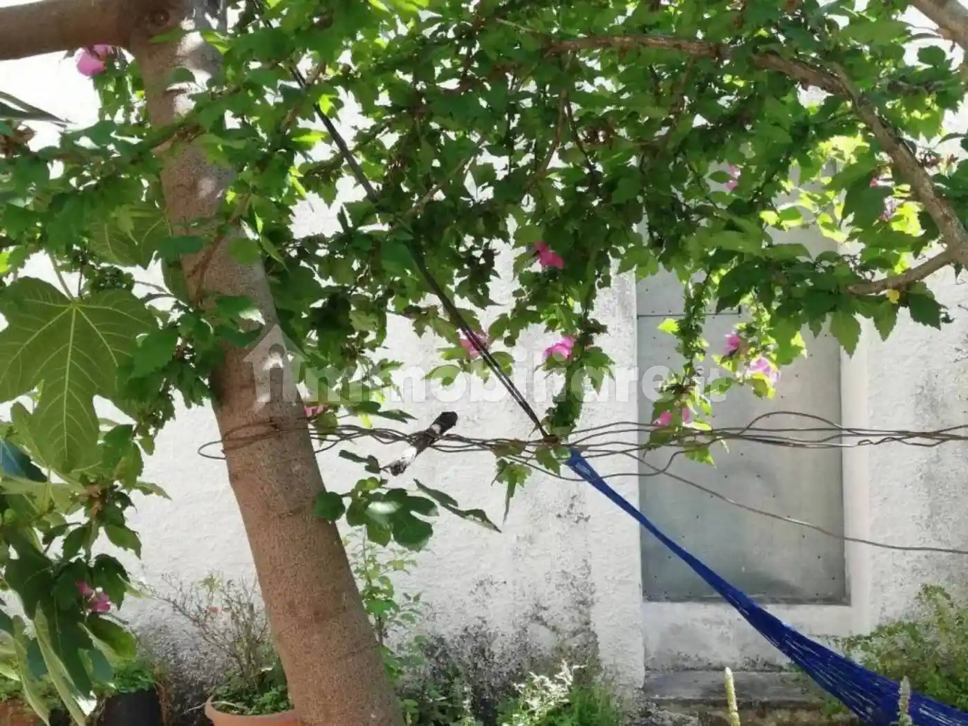 Terratetto unifamiliare via Camillo Benso di Cavour, Albano di Lucania - foto 2