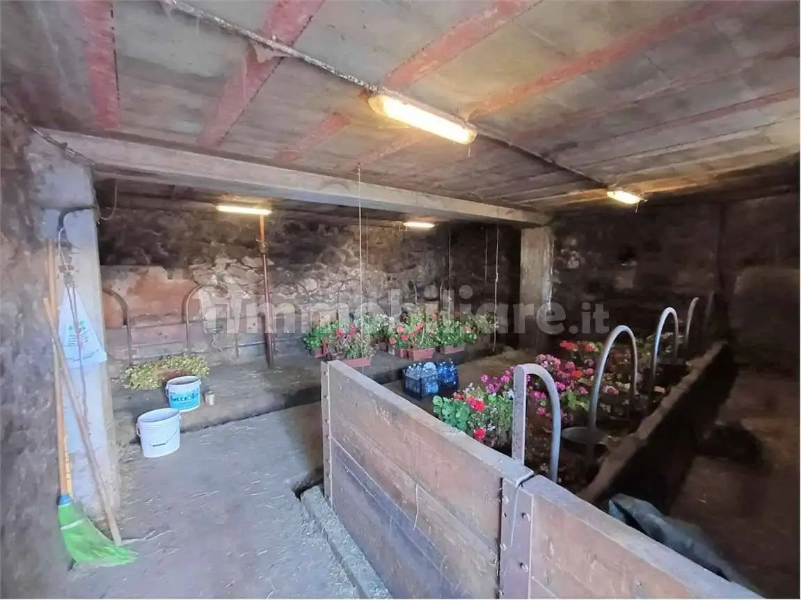 Rustico frazione Arbaz, Challand-Saint-Anselme - foto 5