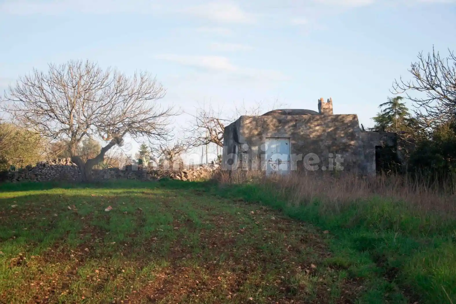 Rustico - Casale in vendita a Martina Franca