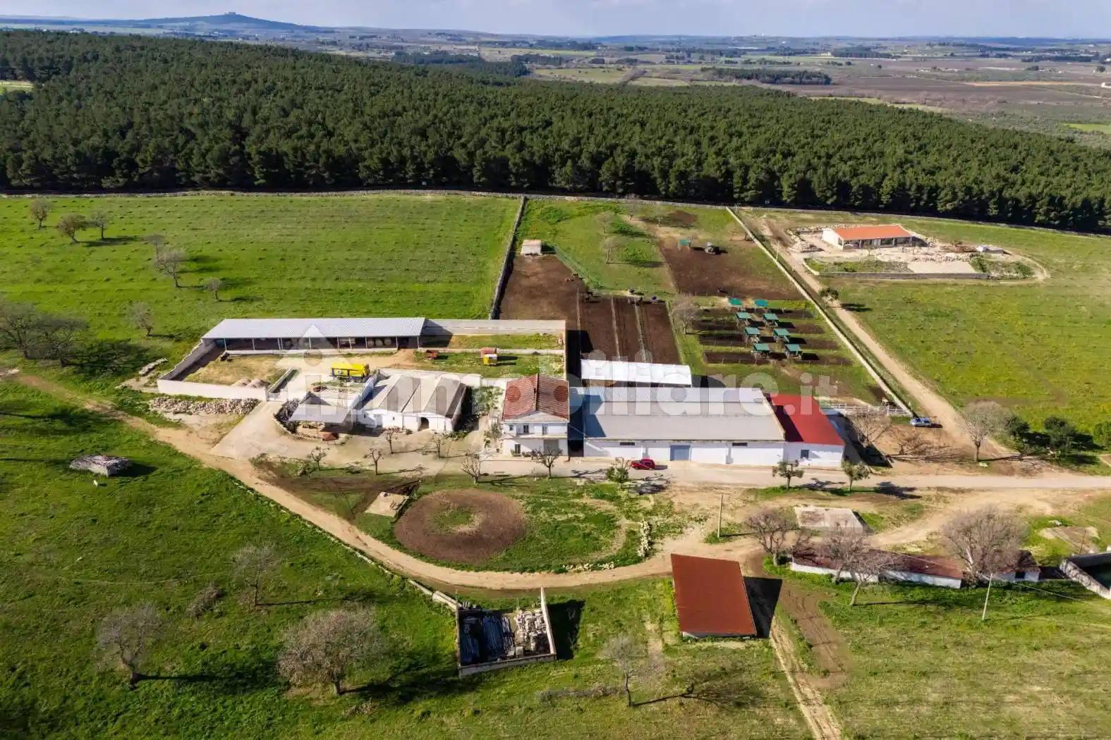 Rustico - Casale in vendita a Corato