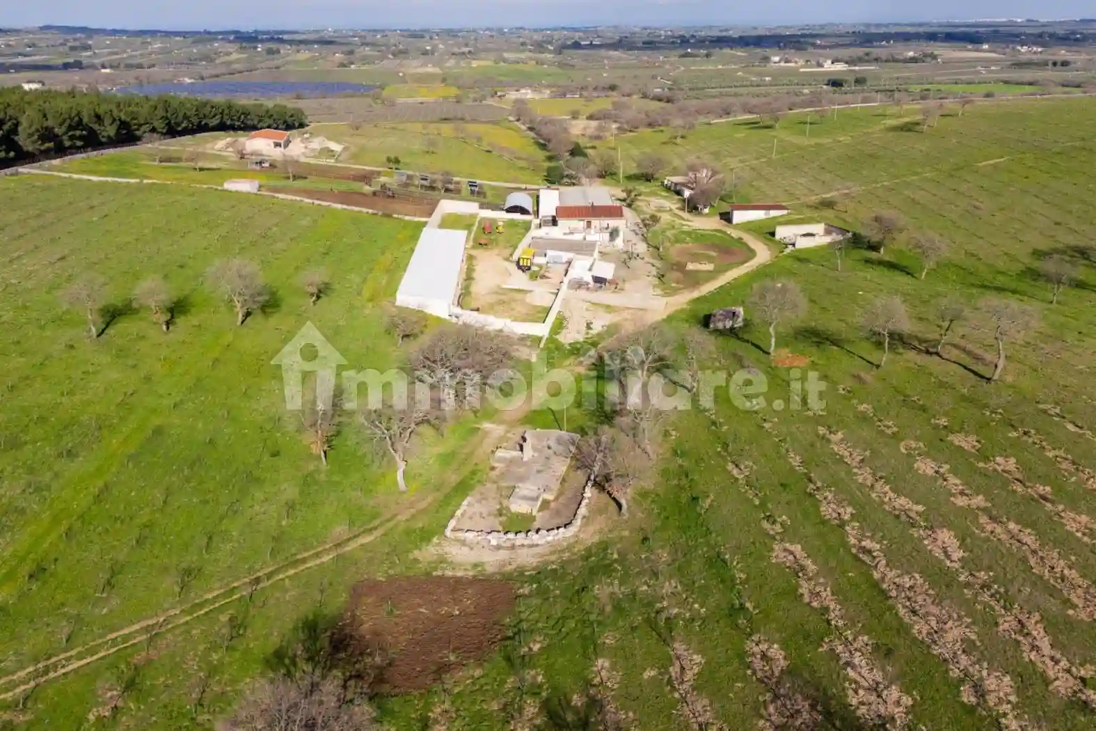 Rustico - Casale - foto 5