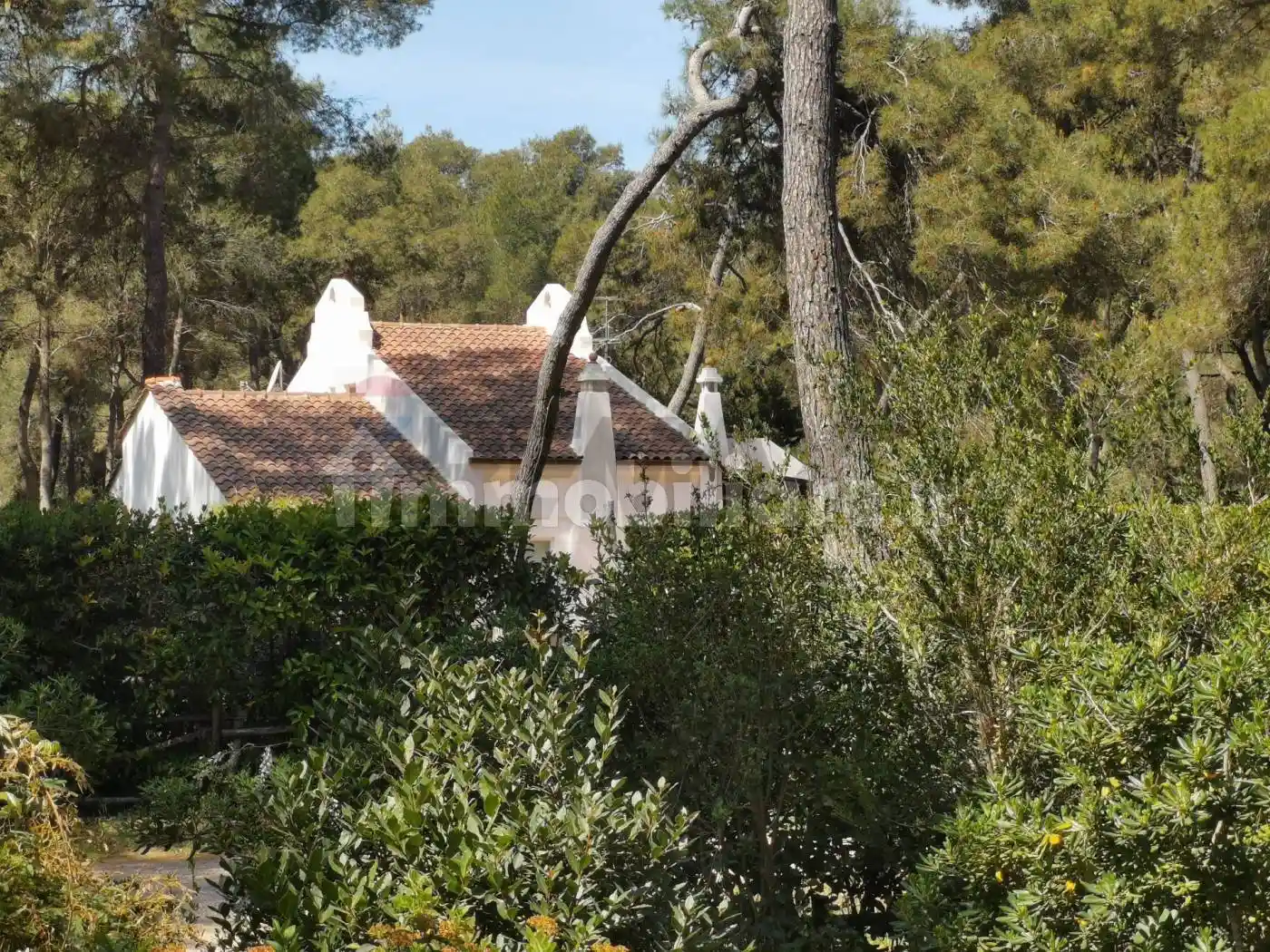 Villa in vendita a Castellaneta