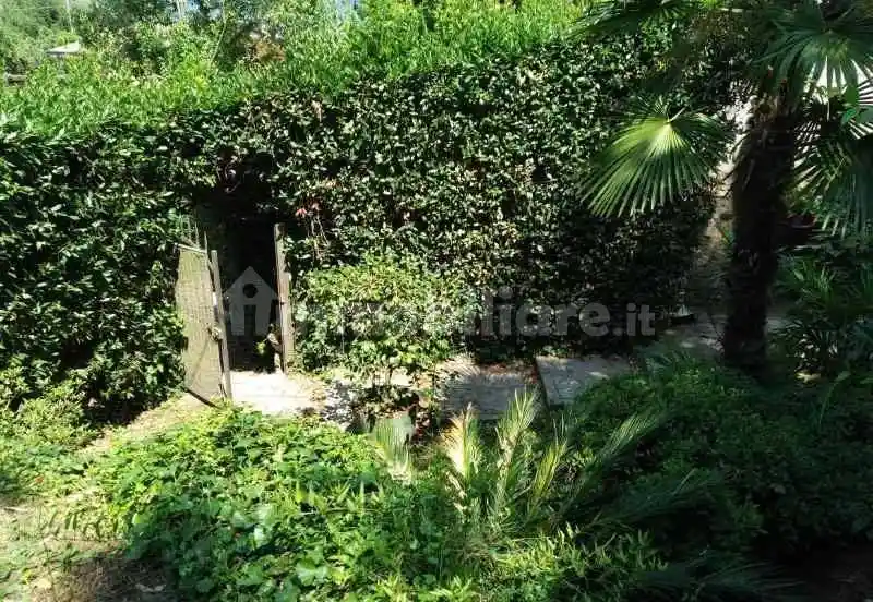 Rustico - Casale in vendita a Camaiore