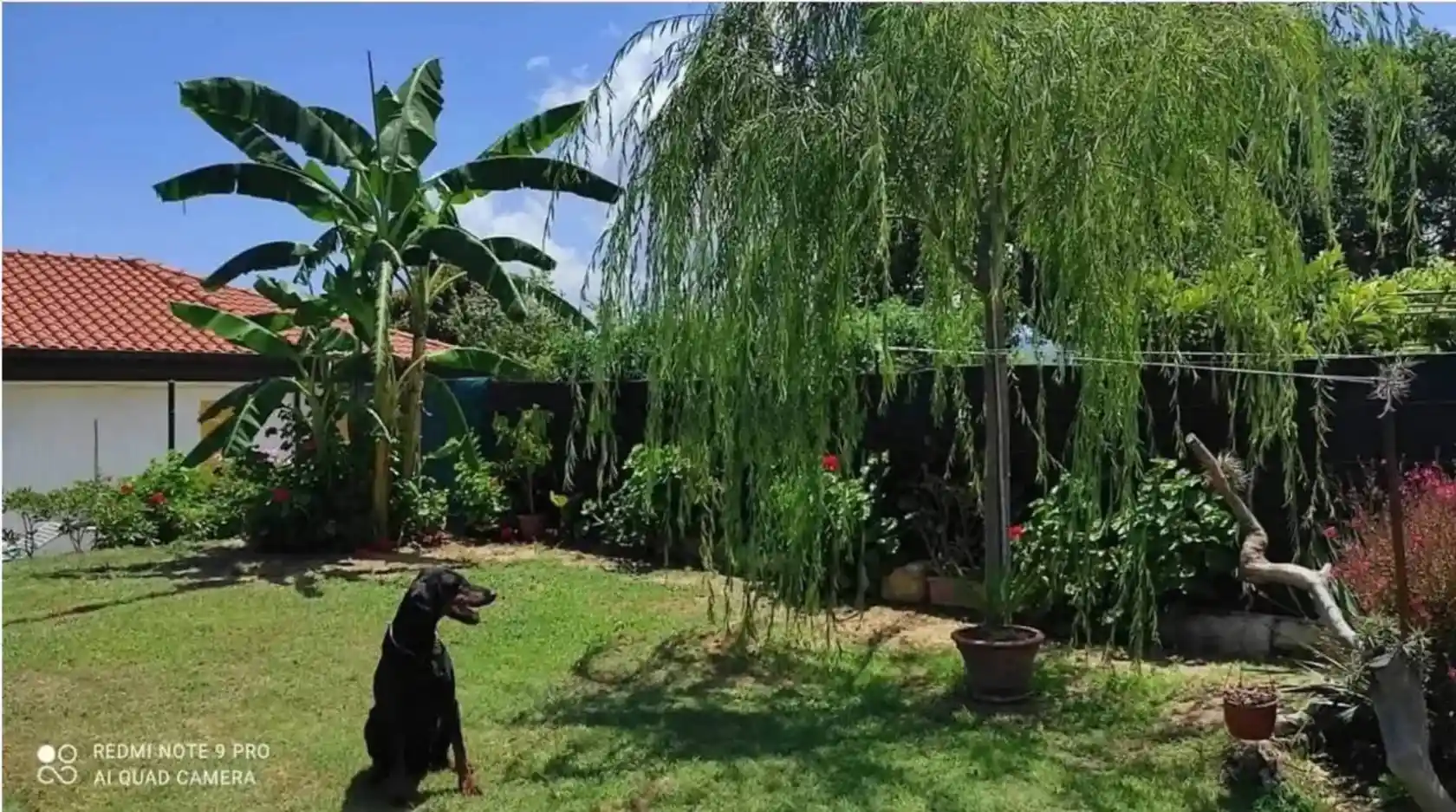 Terratetto unifamiliare via Provinciale, Briatico - foto 2