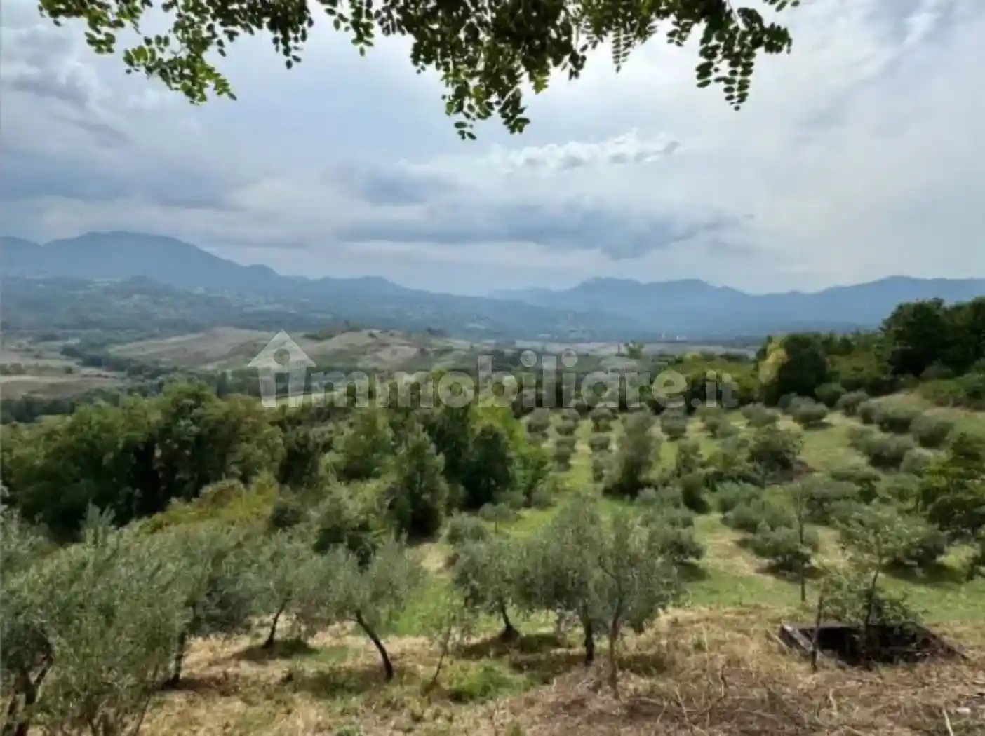 Terratetto unifamiliare frazione Santo Ianni, Viggianello - foto 4