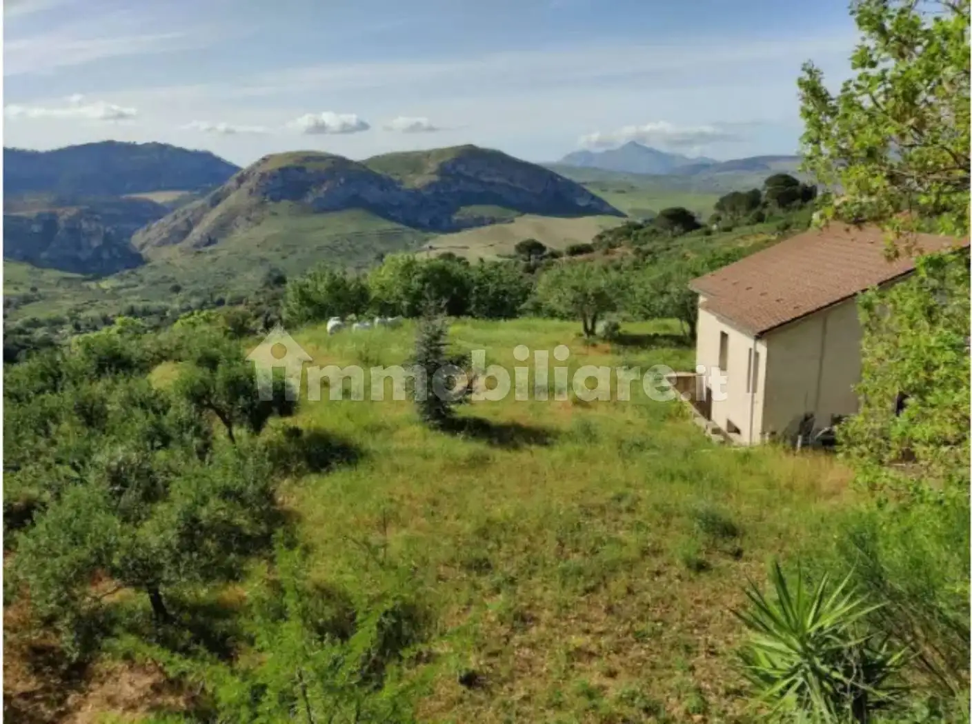 Casale contrada Marzuco Giubino, Calatafimi, Calatafimi-Segesta - foto 3