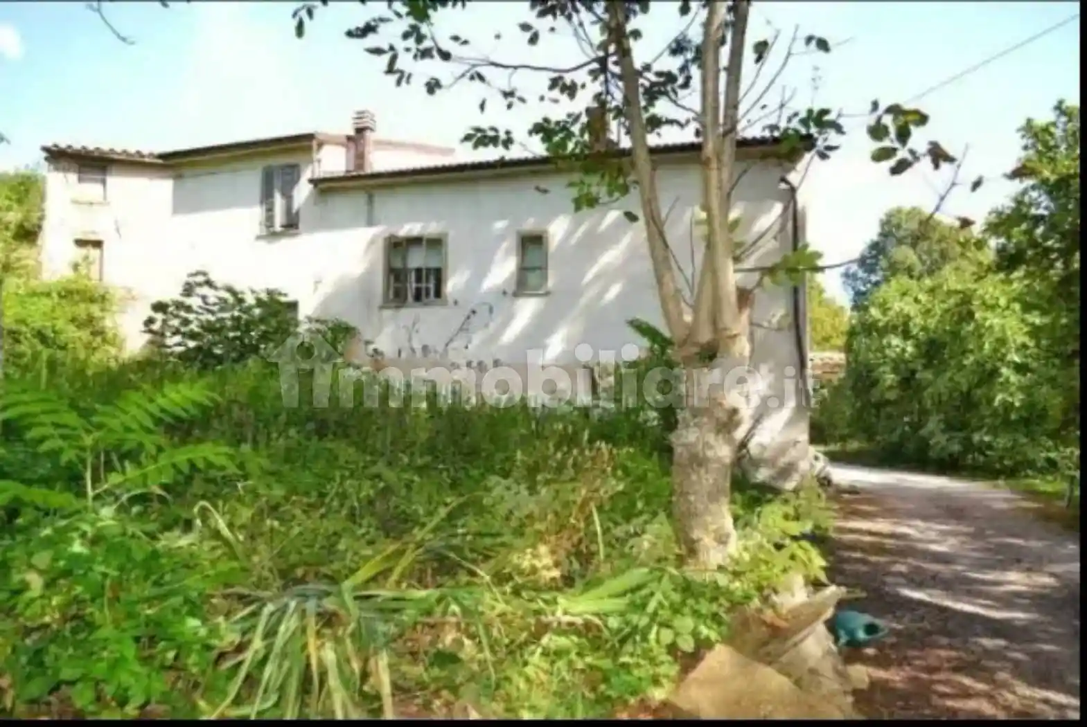 Rustico - Casale in vendita a Apecchio