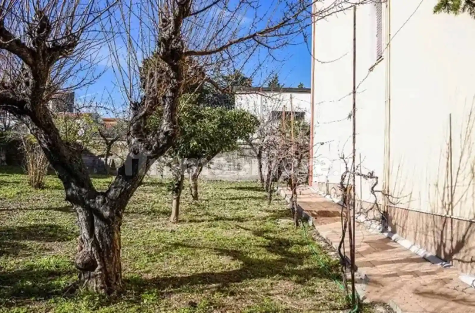 Palazzo - Edificio - foto 2