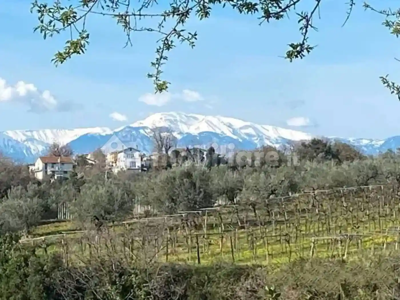 Villa a schiera Piane Favaro, Fossacesia - foto 3