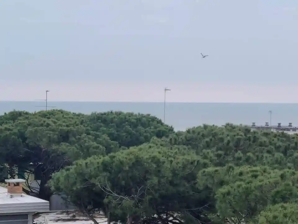 Appartamento in vendita a Comacchio