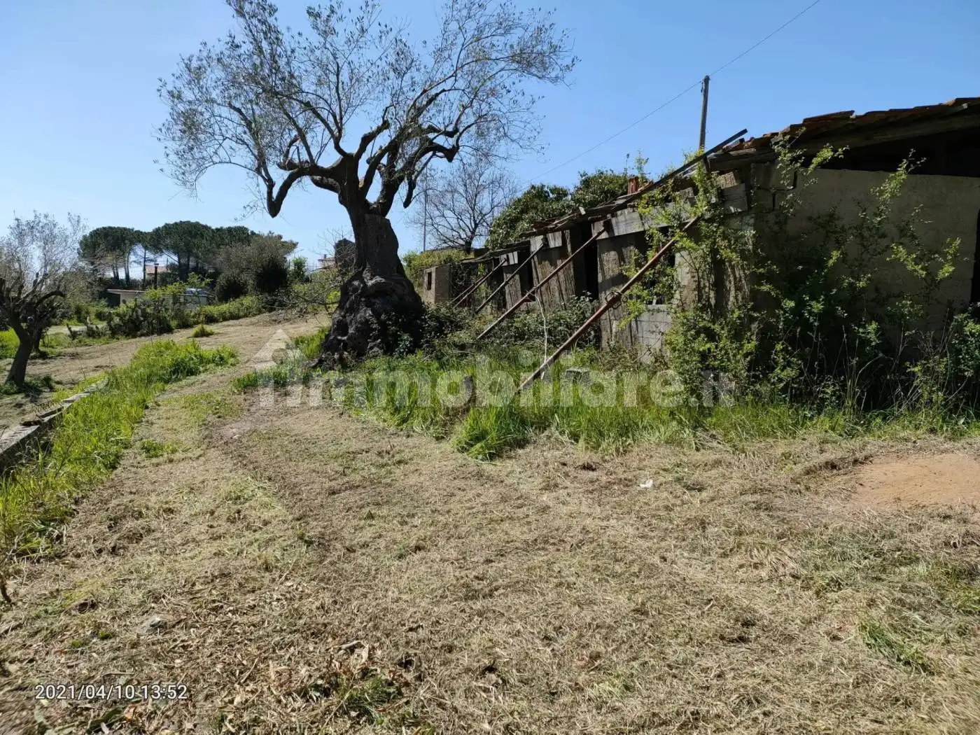 Rustico - Casale in vendita a Centola
