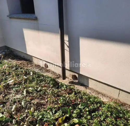 Villa a schiera 5 locali, nuova, Bagnara di Romagna - foto 5