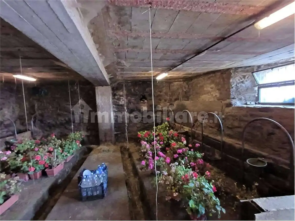 Rustico frazione Arbaz, Challand-Saint-Anselme - foto 2