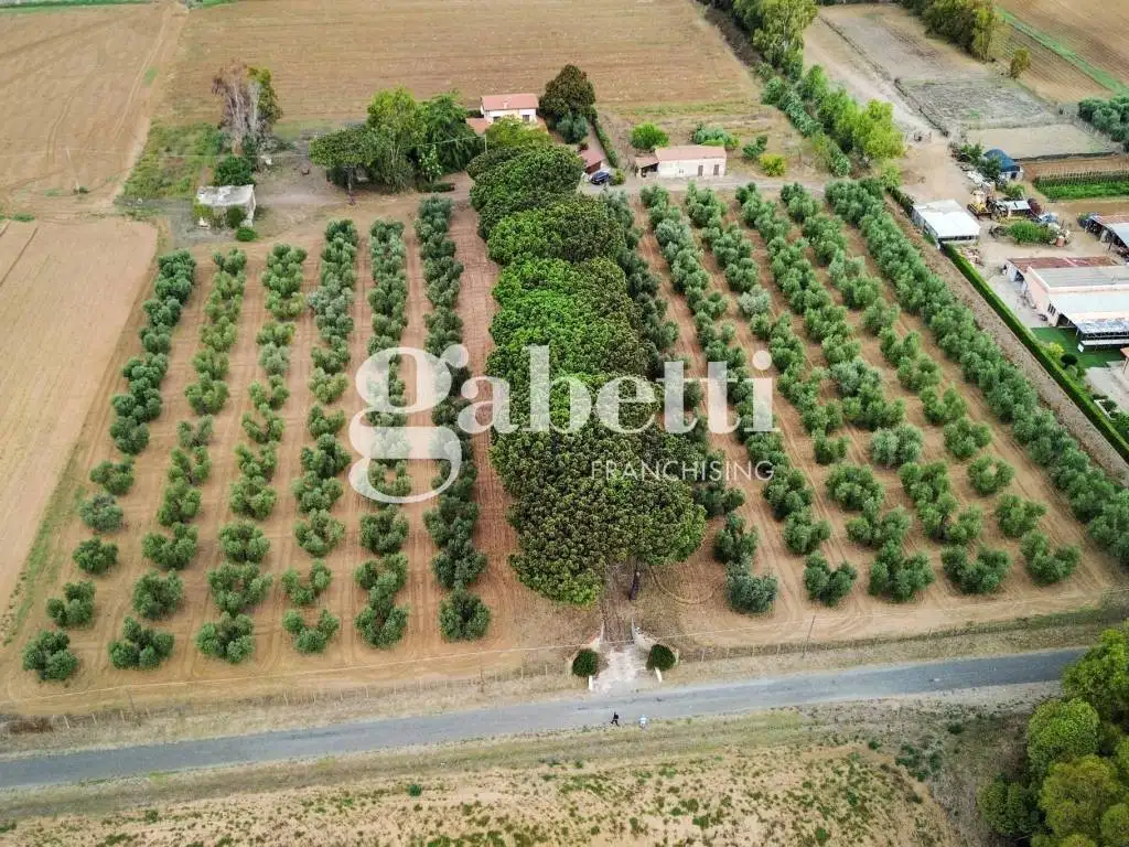 Rustico - Casale in vendita a Roma
