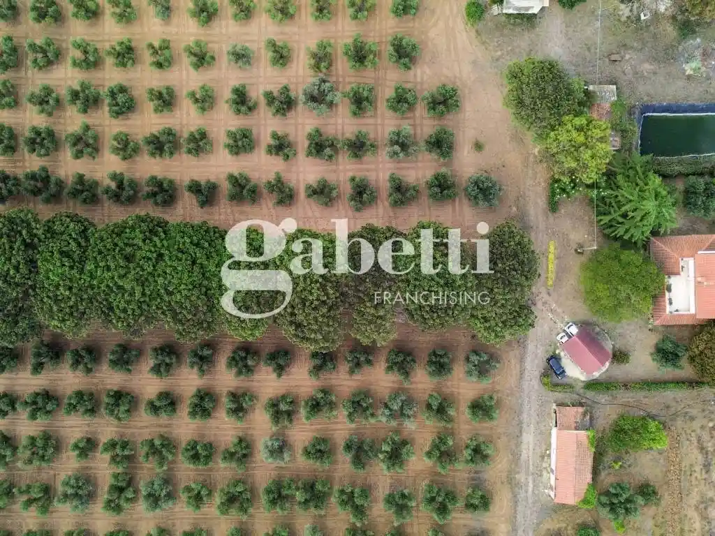 Casale via Tullio Giordana, Castel Romano, Roma - foto 2