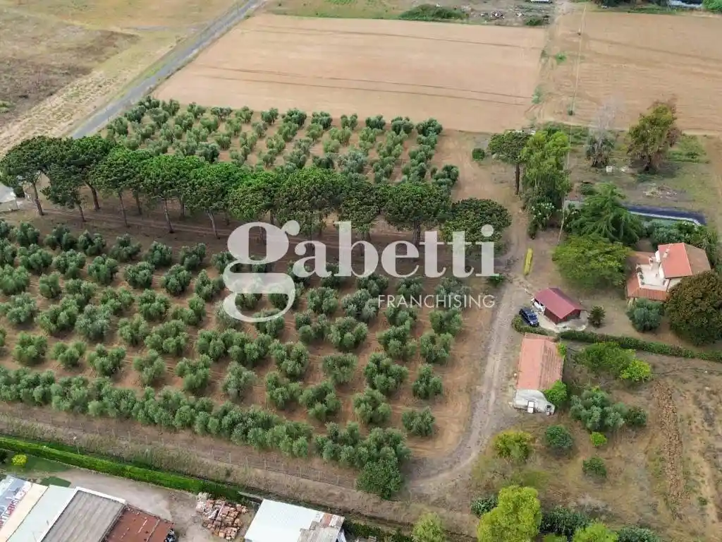 Casale via Tullio Giordana, Castel Romano, Roma - foto 3