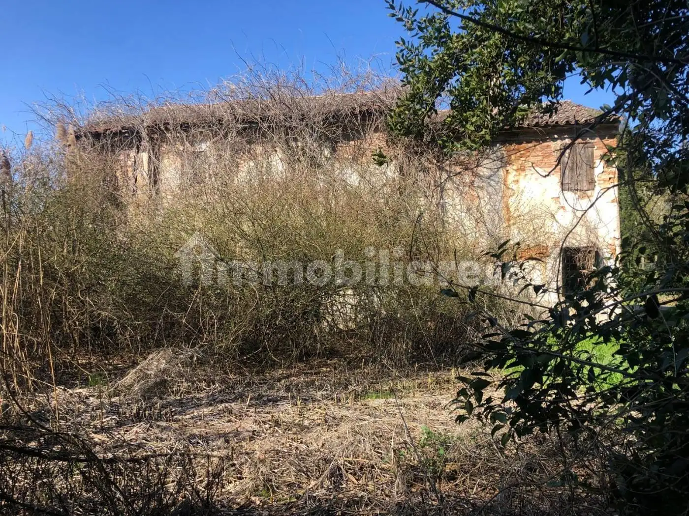 Rustico - Casale in vendita a Angiari