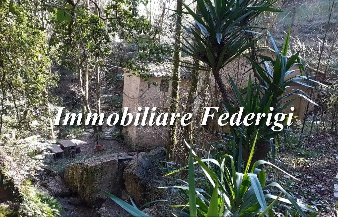 Rustico - Casale in vendita a Camaiore