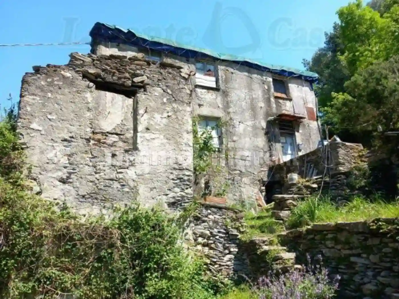 Rustico - Casale - foto 5