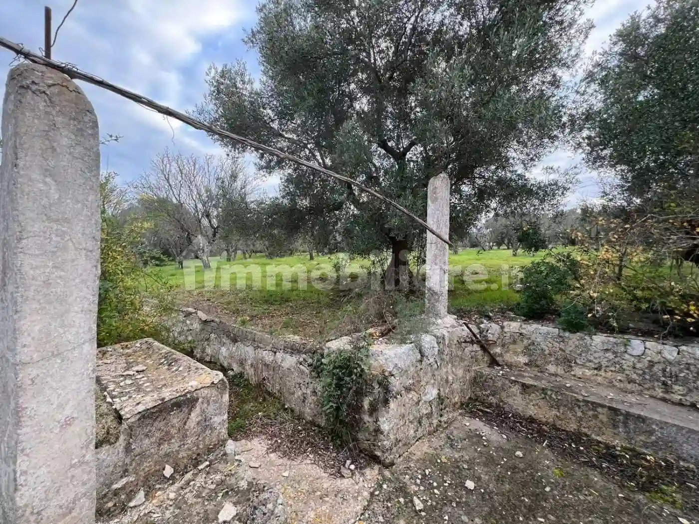 Rustico - Casale - foto 3