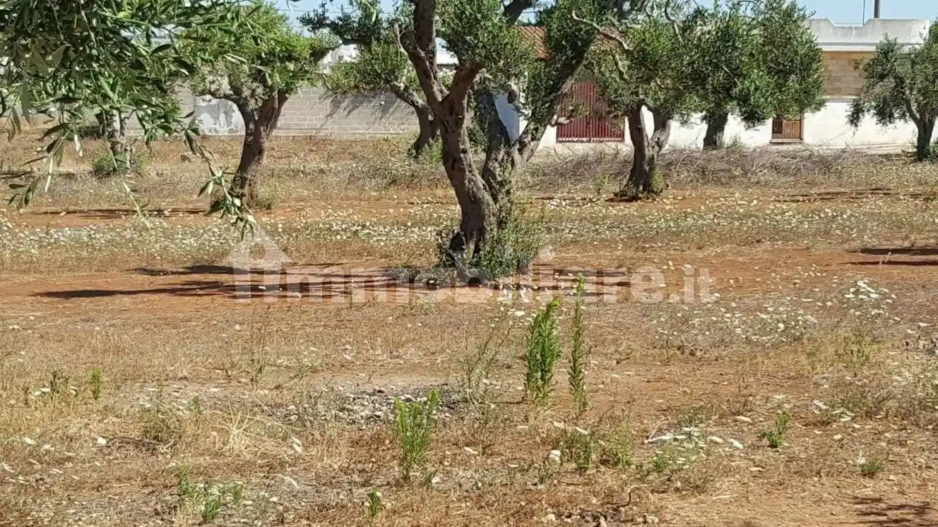 Villa in vendita a Nardò