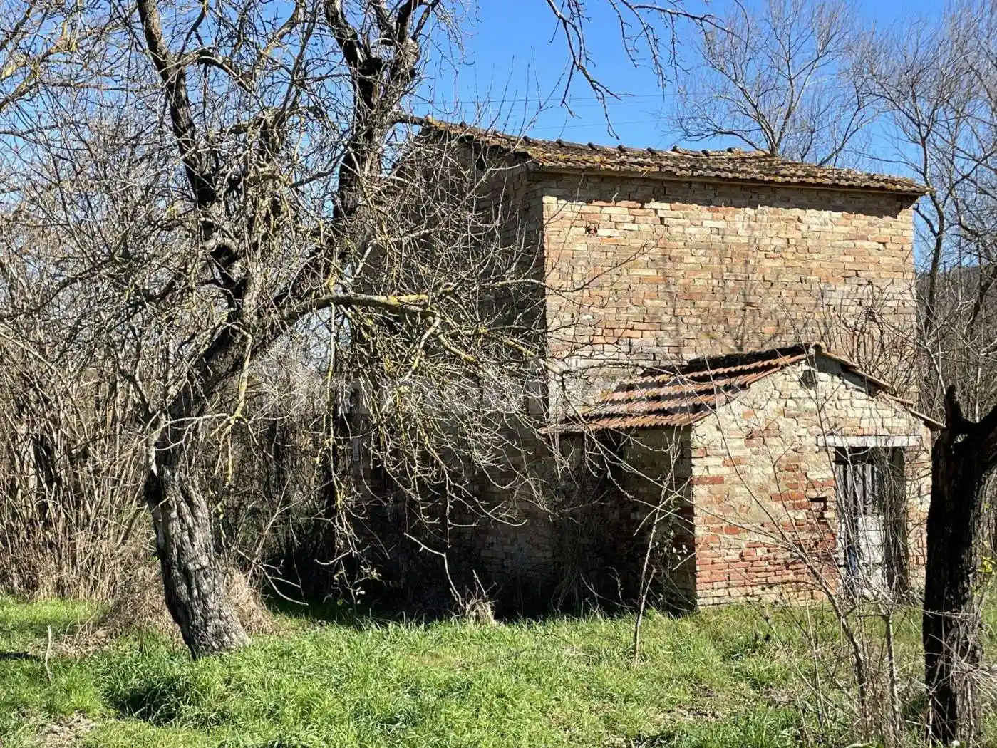 Rustico - Casale in vendita a Ficulle