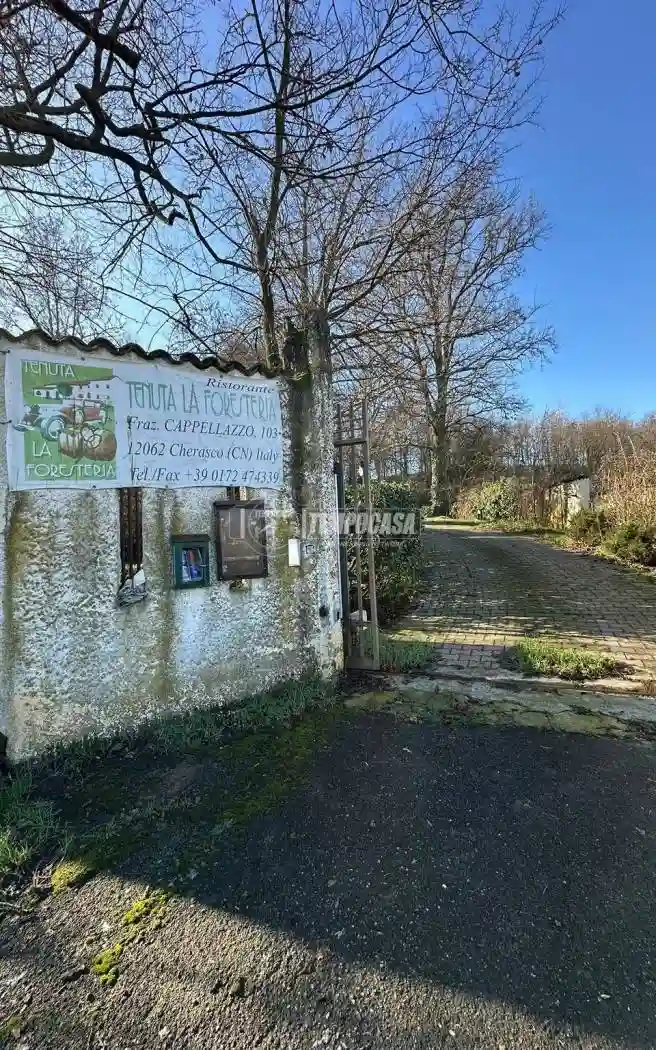 Palazzo - Edificio - foto 4