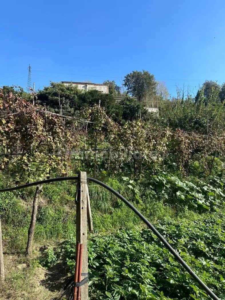 Rustico - Casale in vendita a Napoli