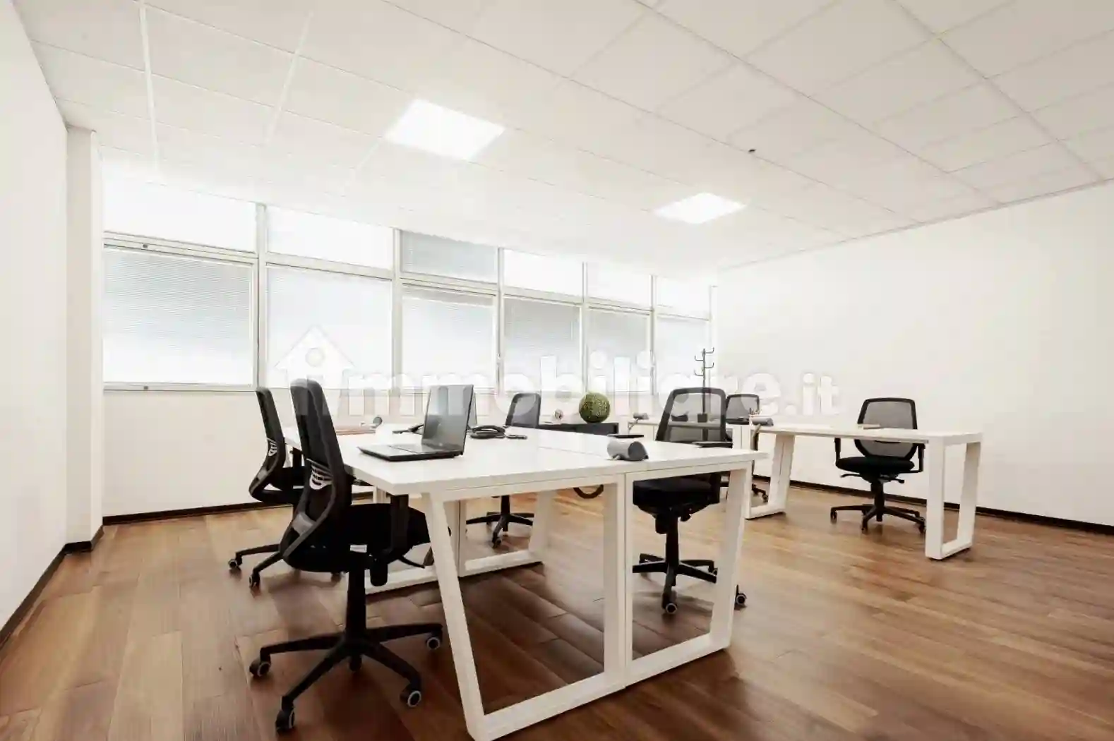 Palazzo - Edificio - foto 5