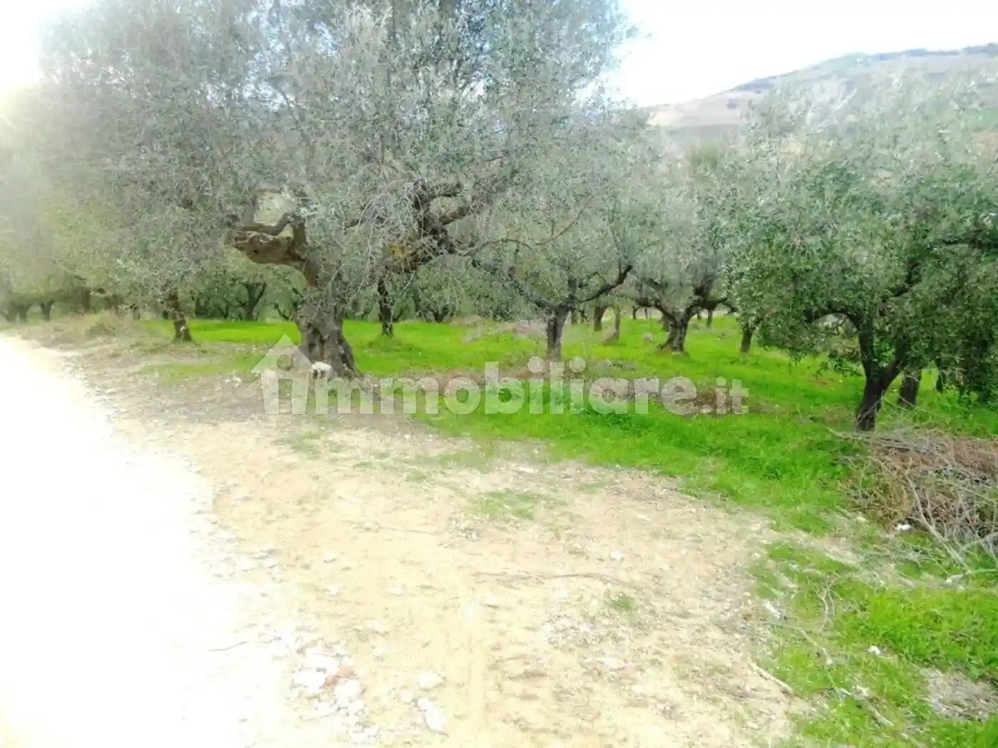 Villa unifamiliare Strada Per Atri, Città Sant'Angelo - foto 5