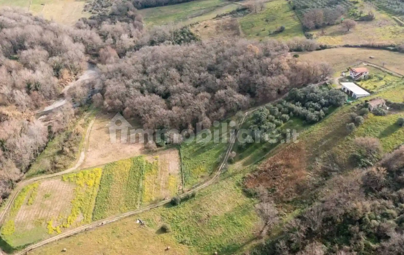 Casale via Sciambali, Metoio, Ceraso - foto 2