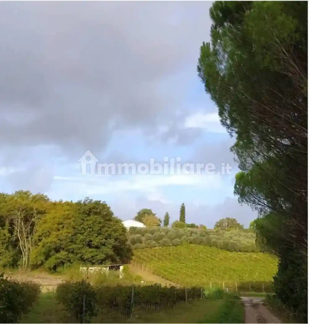 Casale via di Castagneto, Cerbaiola - Corniola, Empoli - foto 4