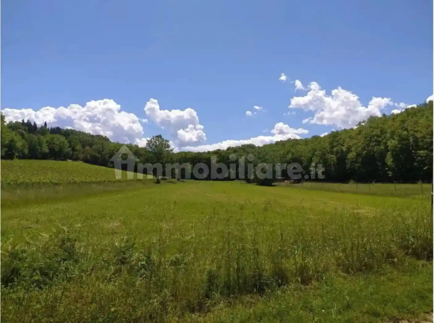 Casale via di Castagneto, Cerbaiola - Corniola, Empoli - foto 5