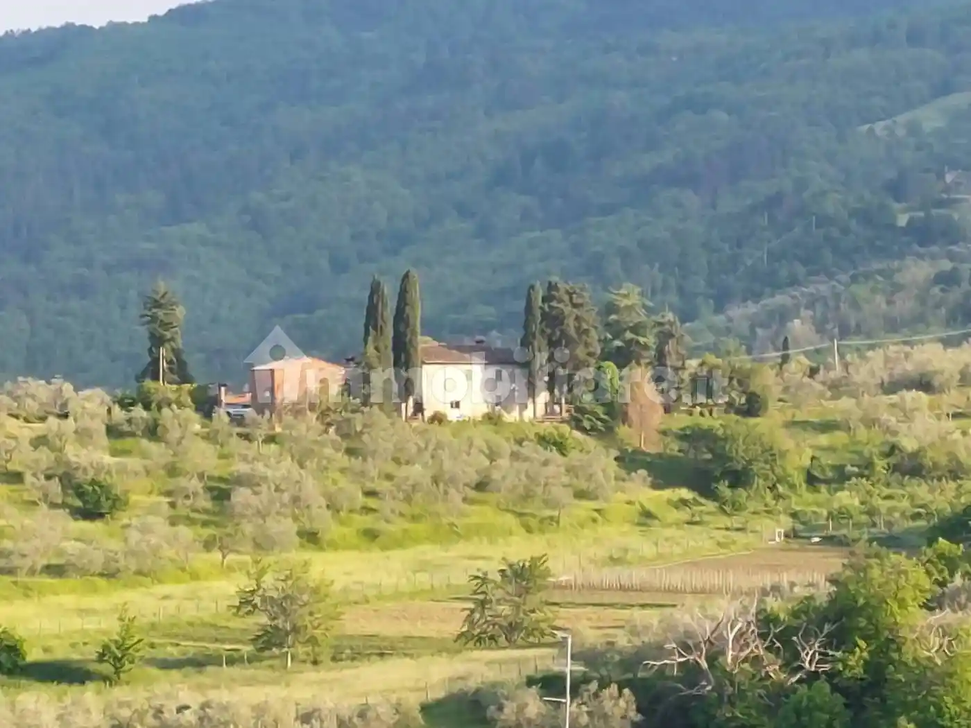 Rustico - Casale in vendita a Cavriglia