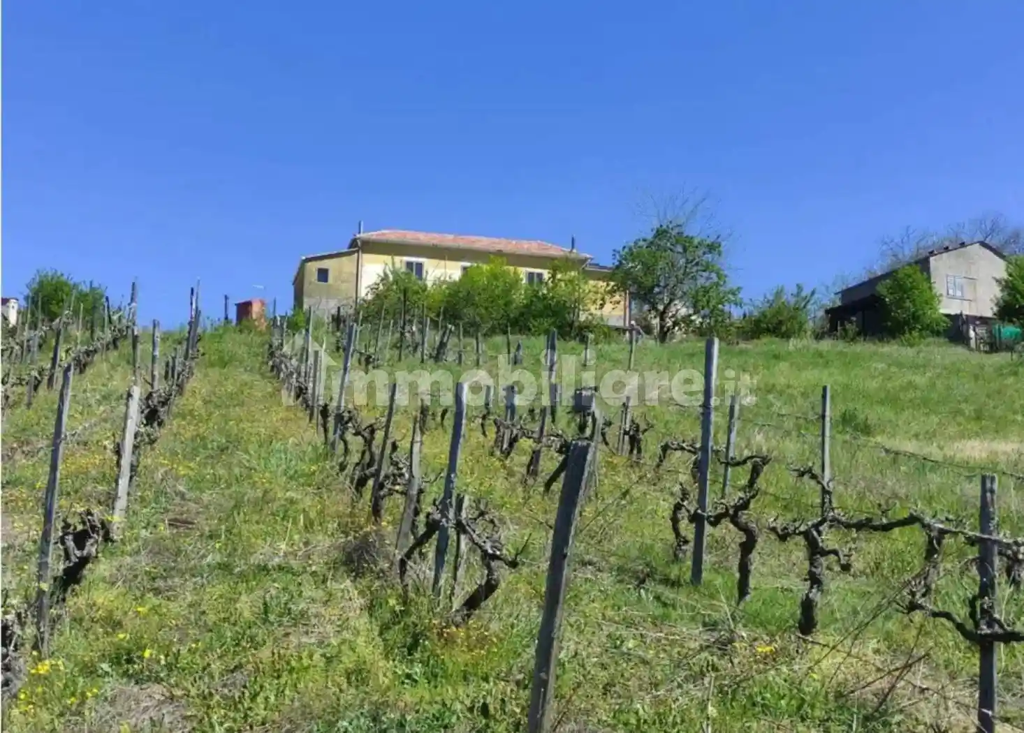 Casale Contrada Timparossa, Lauria - foto 2