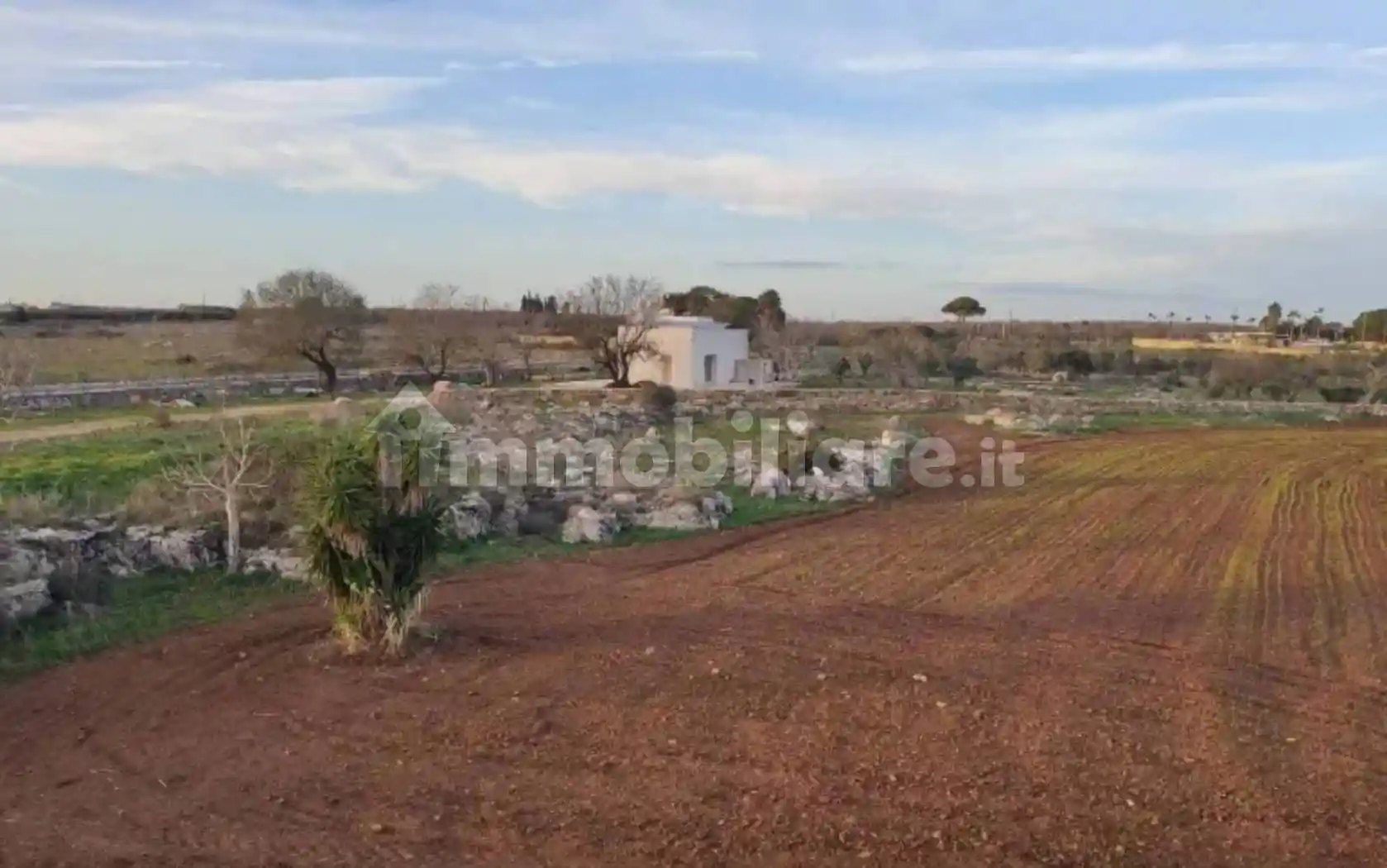 Villa in vendita a Presicce-Acquarica