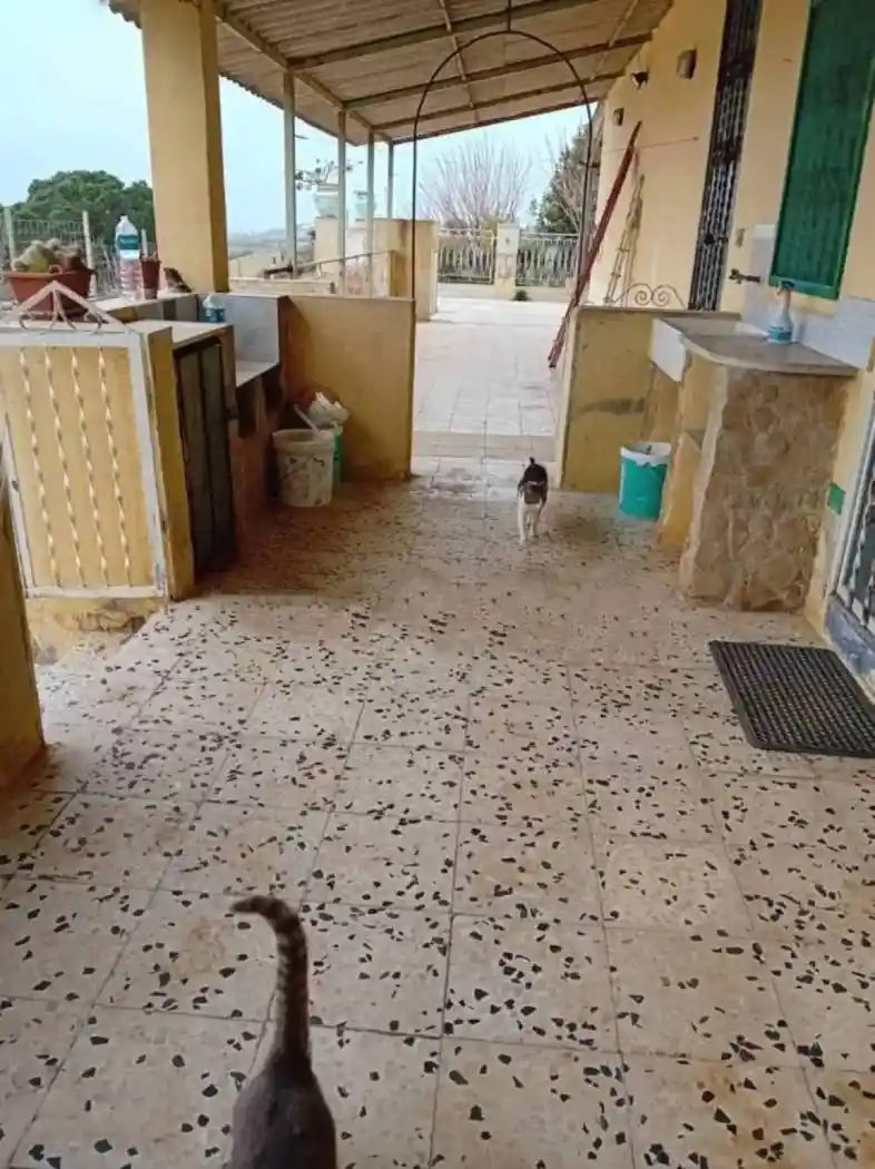 Villa in vendita a Menfi