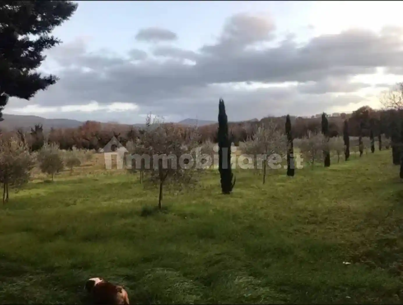 Rustico - Casale in vendita a Massa Martana