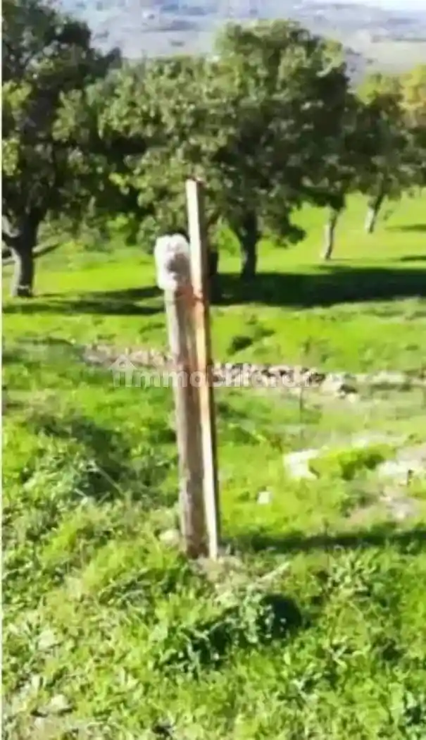 Terratetto unifamiliare Contrada Insertafumo, snc, snc , snc , snc , snc , snc , snc , snc , snc , snc , snc , snc , snc, San Fele - foto 4