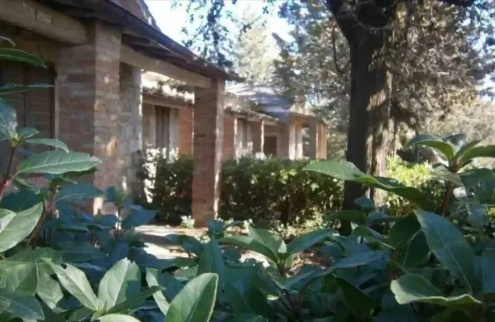 Rustico - Casale in vendita a San Gimignano