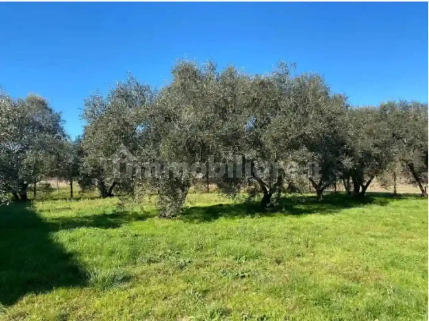 Casa indipendente in vendita a Fucecchio