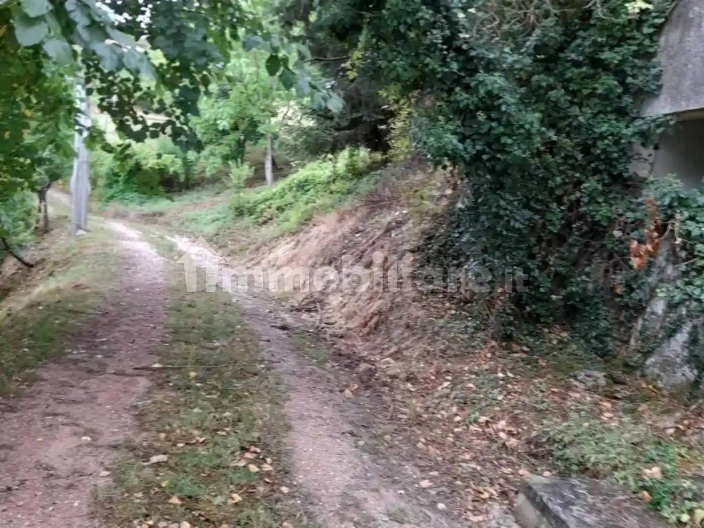 Rustico - Casale in vendita a Cagli