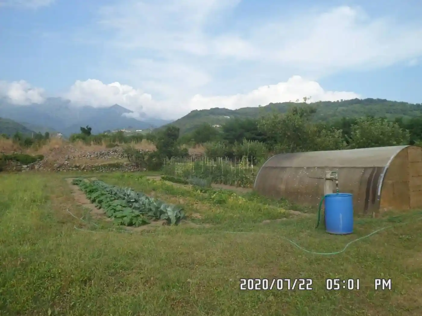 Palazzo - Edificio in vendita a Filattiera